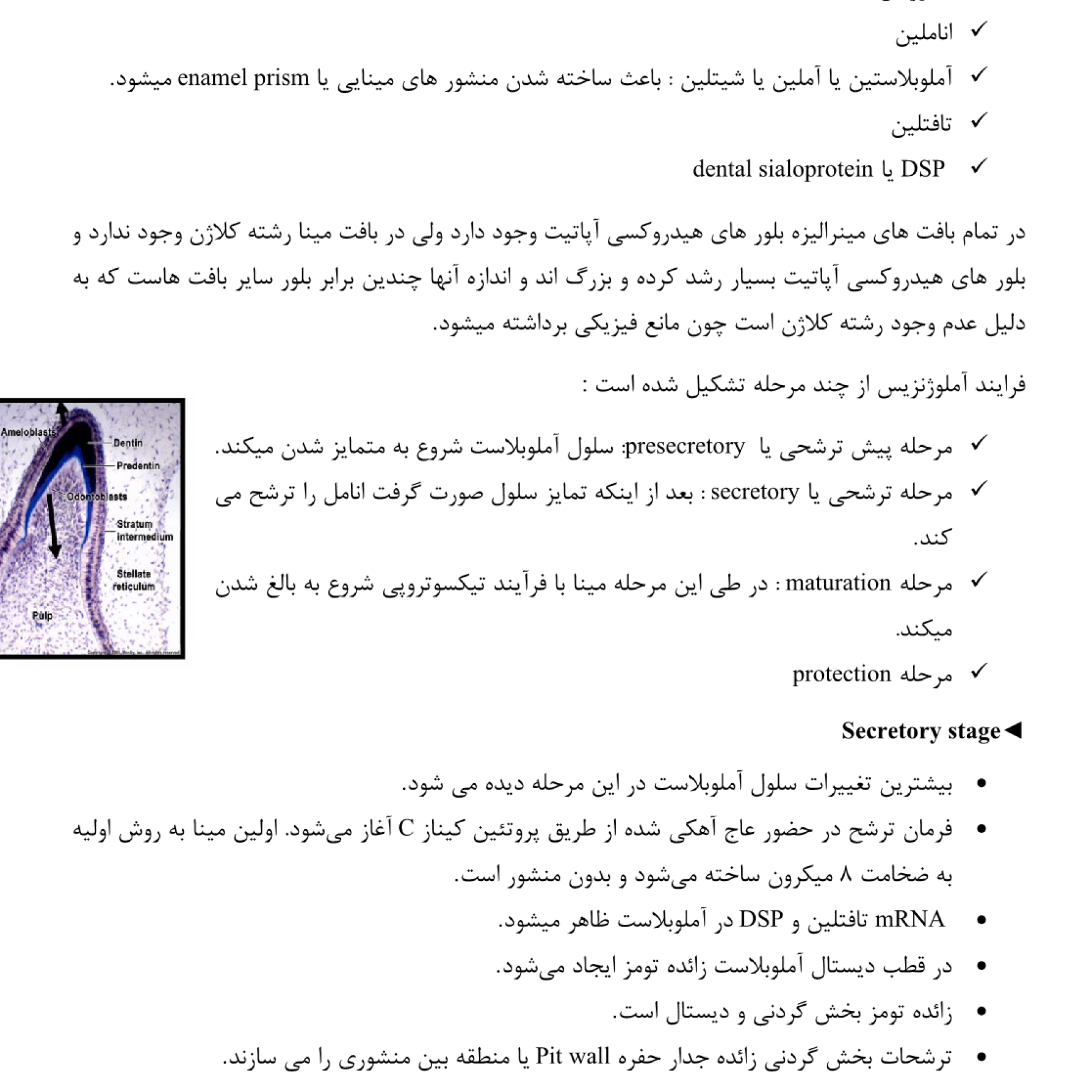 جزوه سر و گردن گیلا